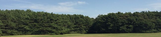 そらいろ庵's header image