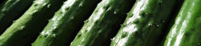 ☆食いしん坊うさぎ☆'s header image