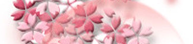 emi228's header image