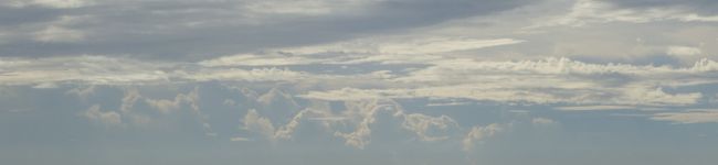 さといモ's header image