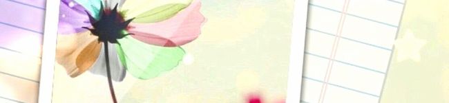 バニラ☆ママ's header image