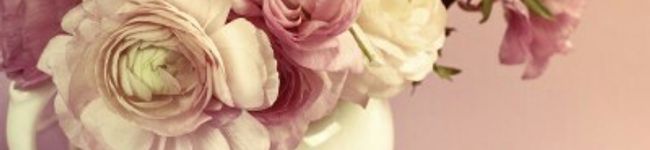 chica1212's header image