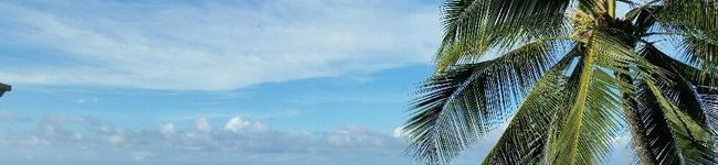 ※MASS※'s header image