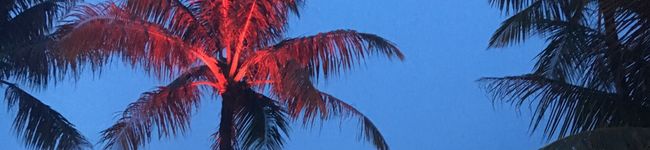 akaman☆'s header image