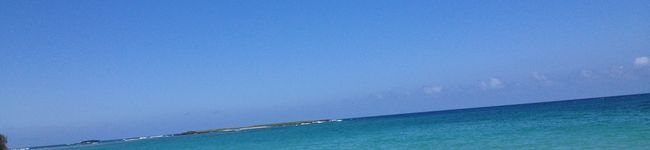 Lily7a's header image