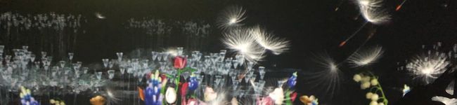 ぽんちゃ33's header image