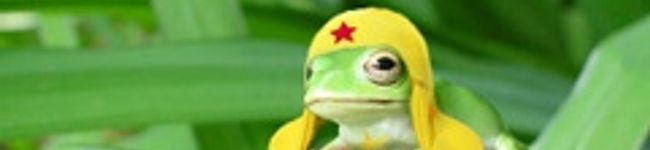 らん.'s header image