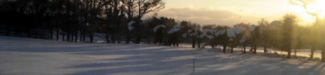 chihimum's header image