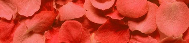 se★tsu's header image