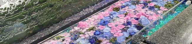 パインクリームソーダ's header image