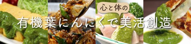 アースエイド's header image