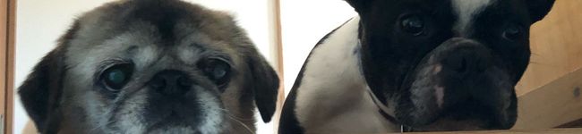 うめっchiko's header image