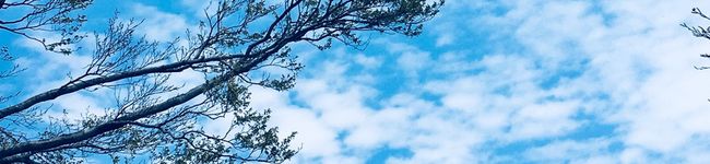 noa170's header image
