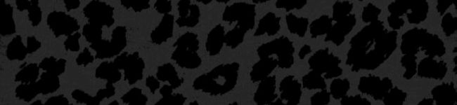 sh28's header image