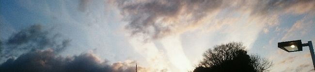 pink321's header image