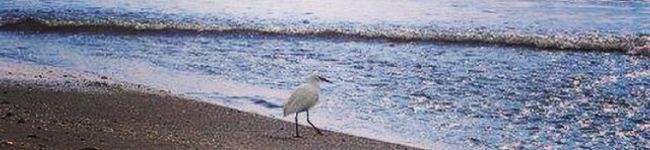 Maib21's header image