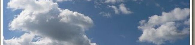 ღミィღ's header image