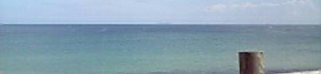 ☆詩羽☆'s header image