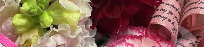 花京院's header image