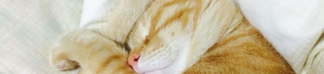 kai192628's header image
