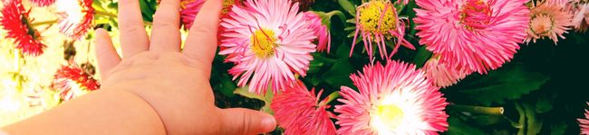 KANAYAME's header image