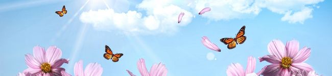 yunpe's header image