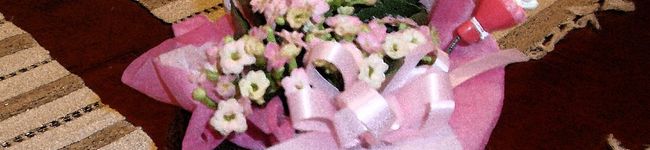 yu_ka0523's header image