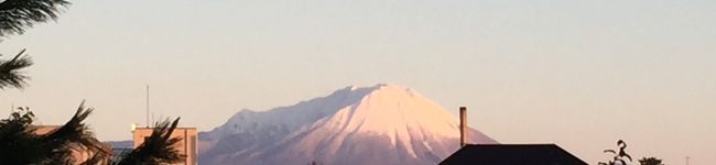 だい★さちママ's header image