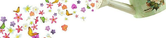 咲華sakura's header image
