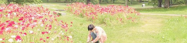 りん→さん's header image