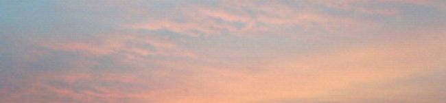 ひまわりママ0721's header image