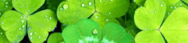 wancoman's header image