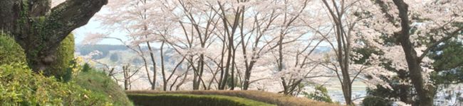 ♡トマト♡'s header image