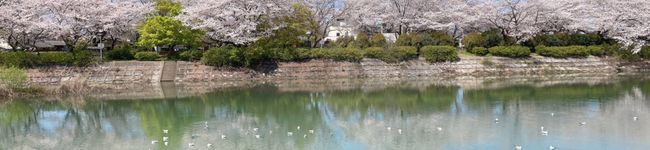 おにぎりさん's header image