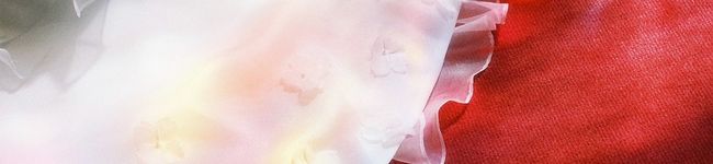 りょうりっこ's header image