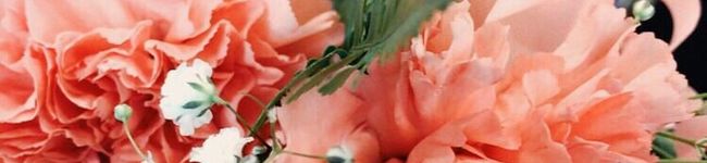 琉奈0816's header image