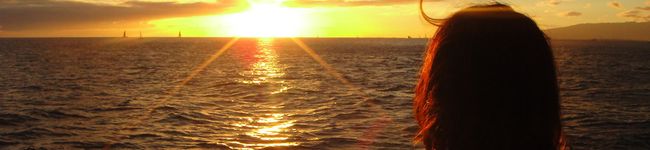 shooori's header image