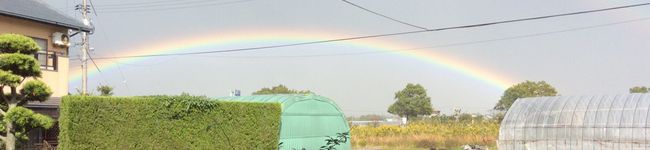 あじさい３'s header image