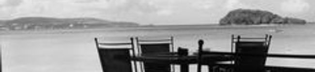 chico72's header image