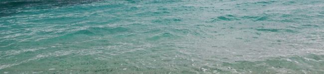 MoNa_39's header image
