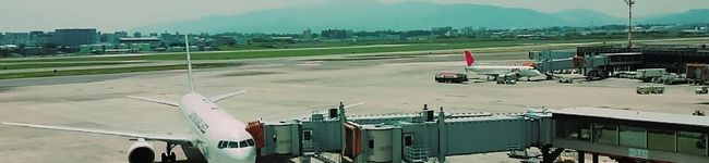 大島紬子's header image