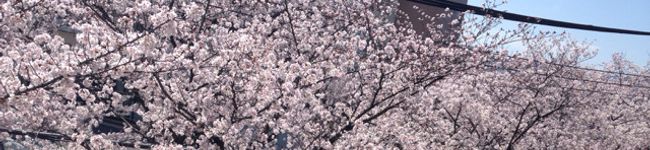 AKI75YUU's header image