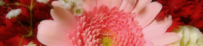 Kaka☆'s header image