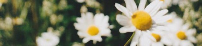 たかまっちゃん☆'s header image
