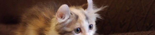 あさぎり。's header image