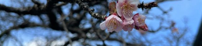 ｊｕｍｏｋｕ's header image