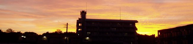ごーあ's header image