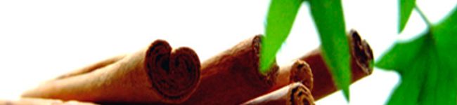 Ｊｍミント's header image