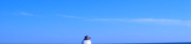 ナス's header image