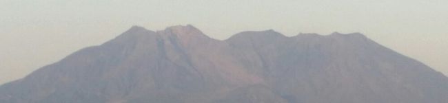 さくらじま24's header image